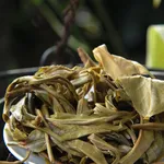 DSCF7730