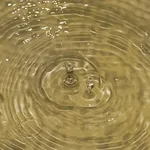 giornata_acqua_2018_22