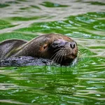giornata_acqua_2018_14