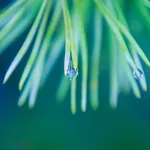 IMG_2768b