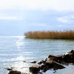 giornata_acqua_2018_11