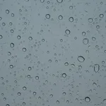 IMG_2694b