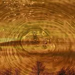 giornata_acqua_2018_15