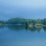 IMG_1310